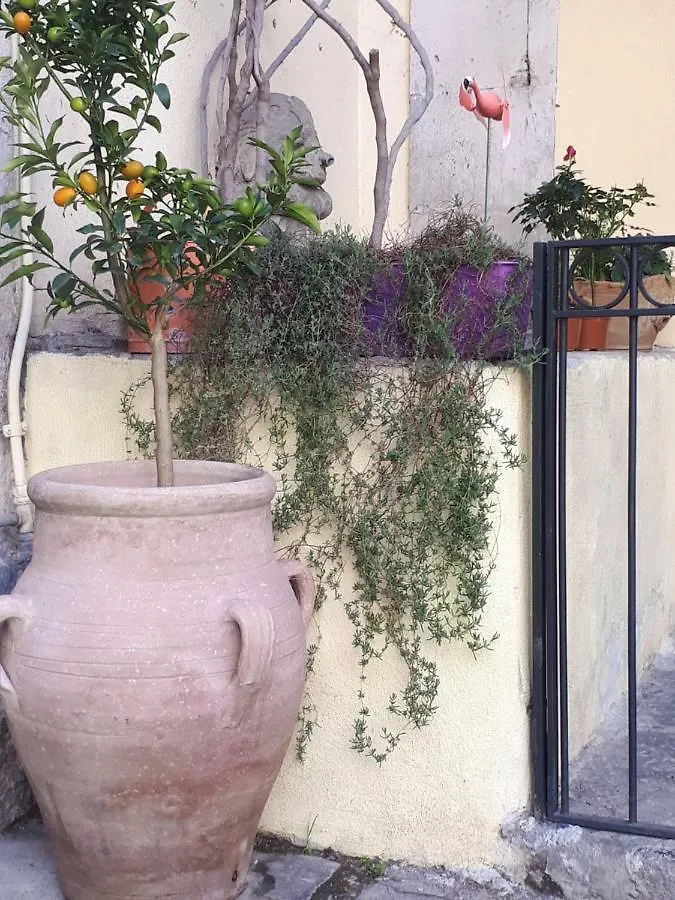 Mamarico' Apartament Catane Appartement