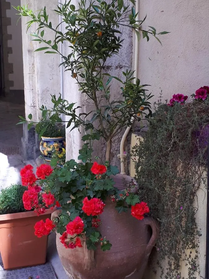 Mamarico' Apartament Catania Italy
